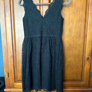 NWT LOFT Black Lace Dress 0